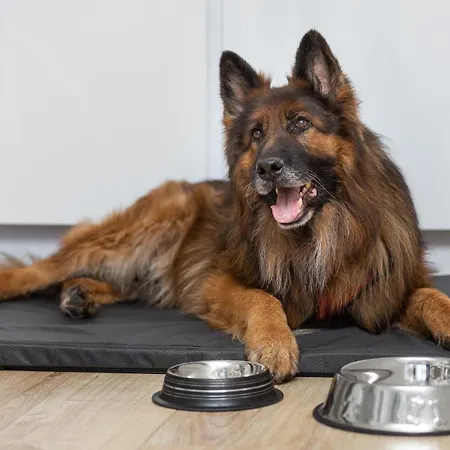 Apartament Margi Gaja *