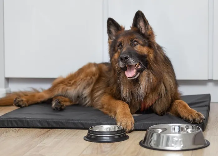 아파트 Margi Gaja *